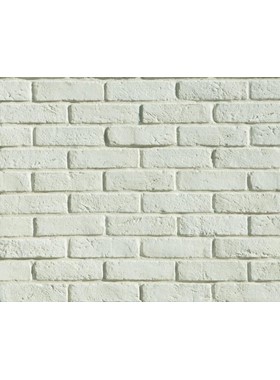 ΤΟΥΒΛΑΚΙ ΛΕΥΚΟ - ΤΕΧΝΗΤΟ ΓΙΑ ΕΠΕΝΔΥΣΗ ΤΟΙΧΟΥ