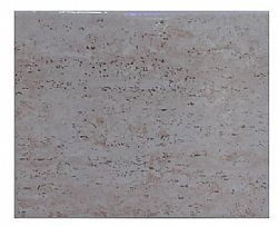TRAVERTINO BEIGE - ΠΛΑΚΑΚΙΑ ΜΠΑΝΙΟΥ 20X25 MADE IN ITALY