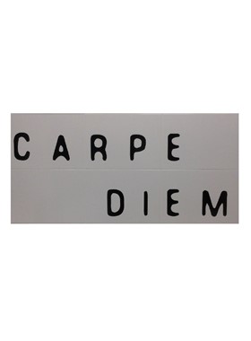 ΝΤΕΚΟΡ ΜΠΑΝΙΟΥ ΠΑΡΑΣΤΑΣΗ CARPE DIEM  125X60 cm