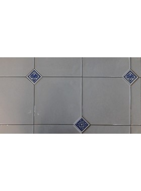 LATINO BLANCO EXAGONAL ΜΕ ΤΑΚΑΚΙ - ΠΛΑΚΙΔΙΟ ΜΠΑΝΙΟΥ 20X20 MADE IN SPAIN