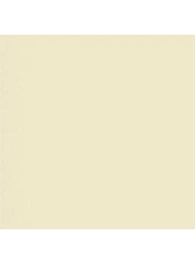 CORIAN BONE - ΜΠΕΖ (BEIGE) ΠΑΓΚΟΣ ΚΟΥΖΙΝΑΣ DUPONT