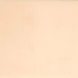 FRANKE AMARETTO - ΠΑΓΚΟΣ ΚΟΥΖΙΝΑΣ SOLID 100x60cm