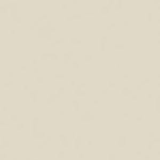 CORIAN BISQUE - ΠΑΓΚΟΙ ΚΟΥΖΙΝΑΣ DUPONT