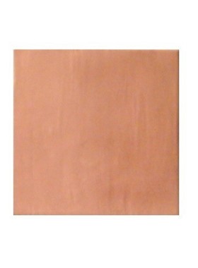 OLITE TIERRA - ΠΛΑΚΑΚΙ ΚΟΥΖΙΝΑΣ 20X20