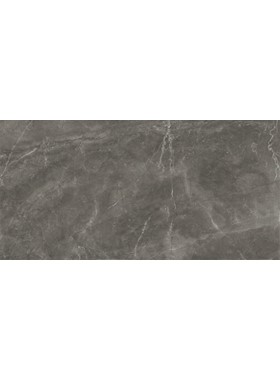 BAYONA GREY 60Χ120 RETT - ΓΥΑΛΙΣΤΕΡΟΙ ΓΡΑΝΙΤΕΣ ΟΨΗΣ ΓΚΡΙ ΜΑΡΜΑΡΟΥ