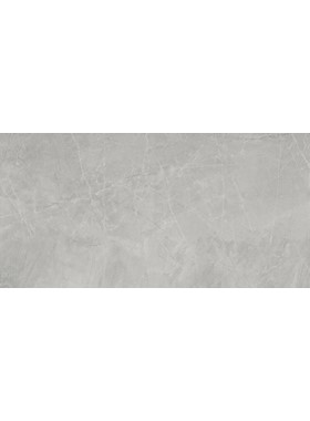 BAYONA SILVER 60Χ120 RETT - ΓΥΑΛΙΣΤΕΡΑ ΓΡΑΝΙΤΟΠΛΑΚΑΚΙΑ ΓΚΡΙ ΜΑΡΜΑΡΟΥ