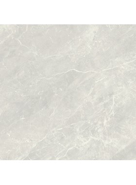 BALDOCER BALMORAL SILVER 60X60 cm RETTIFICATO - ΙΣΠΑΝΙΚΟΣ ΓΡΑΝΙΤΗΣ