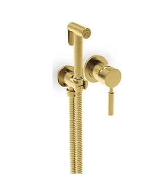 FLUSH MIX TECH 12211-201 GOLD BRUSHED - ΠΑΡΟΧΗ ΜΕ ΝΤΟΥΖΑΚΙ ΓΙΑ ΜΠΙΝΤΕ (ΑΝΑΜΕΙΚΤΙΚΗ)