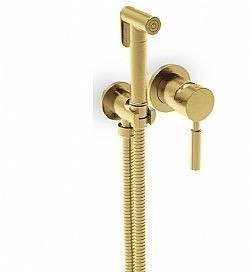 FLUSH MIX TECH 12211-201 GOLD BRUSHED - ΠΑΡΟΧΗ ΜΕ ΝΤΟΥΖΑΚΙ ΓΙΑ ΜΠΙΝΤΕ (ΑΝΑΜΕΙΚΤΙΚΗ)