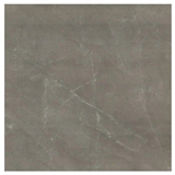 REN.GRIS GLOSSY 60.8X60.8 cm - ΓΥΑΛΙΣΤΕΡΟ ΓΡΑΝΙΤΟΠΛΑΚΑΚΙ SPAIN