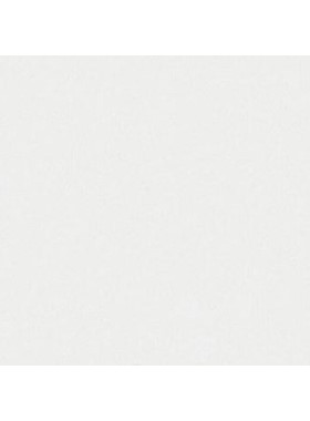 POLARIS 3110 - ΛΕΥΚΟΣ ΠΑΓΚΟΣ ΚΟΥΖΙΝΑΣ ΧΑΛΑΖΙΑ BELENCO