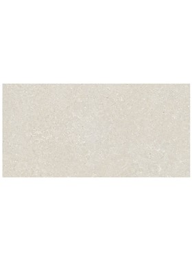 DEL CONCA ITALY WILD WHITE HWD10 60X120 cm RETTIFICATO - ΓΡΑΝΙΤΟΠΛΑΚΑΚΙ ΜΑΤ