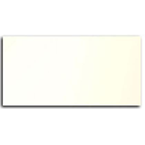 FEST BLANCO - ΠΛΑΚΙΔΙΟ 20Χ40 MADE IN SPAIN